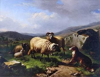 Sheep 113, unknow artist